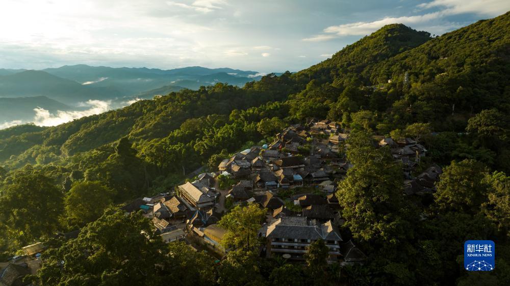 扎金花安卓下载